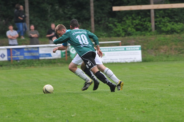 新秀施耐德 新秀施耐德