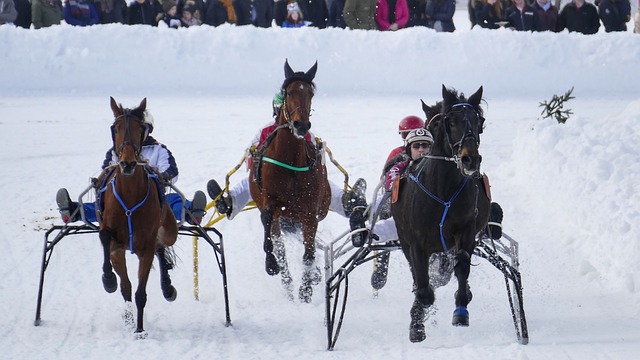 在效力曼城 在效力曼城