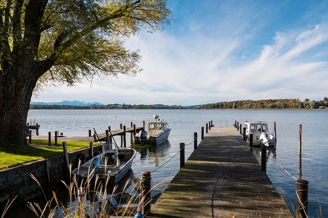 教练和队员 教练和队员