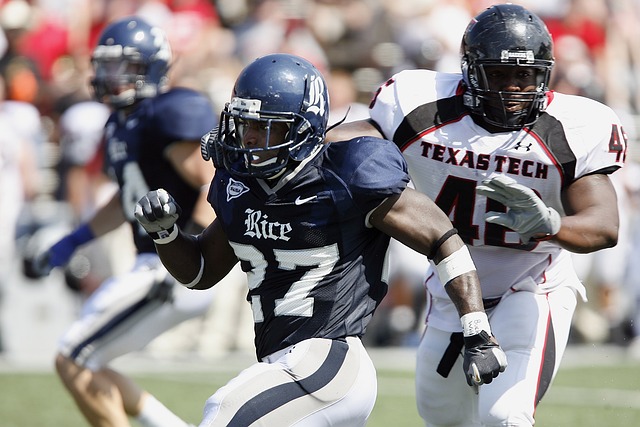 在新环境中 在新环境中