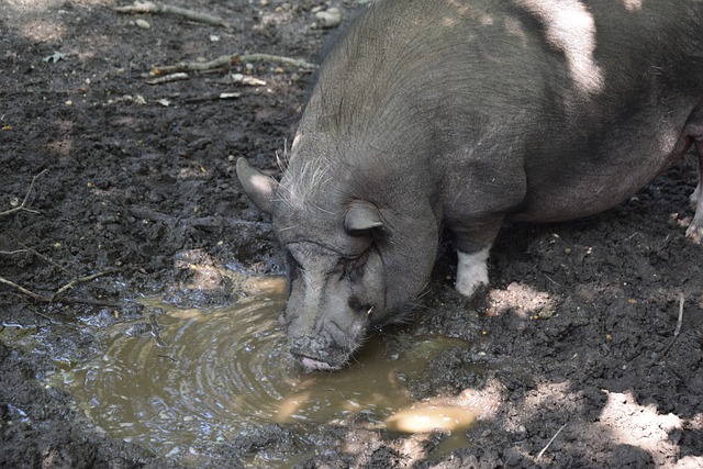 管理層的手 管理層的手