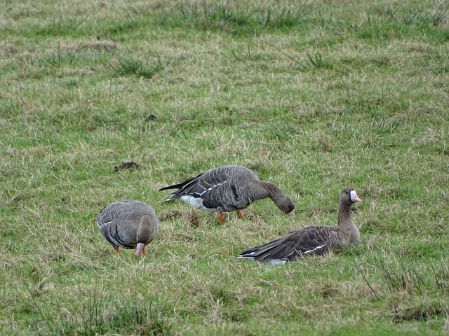 在这一背景 在这一背景
