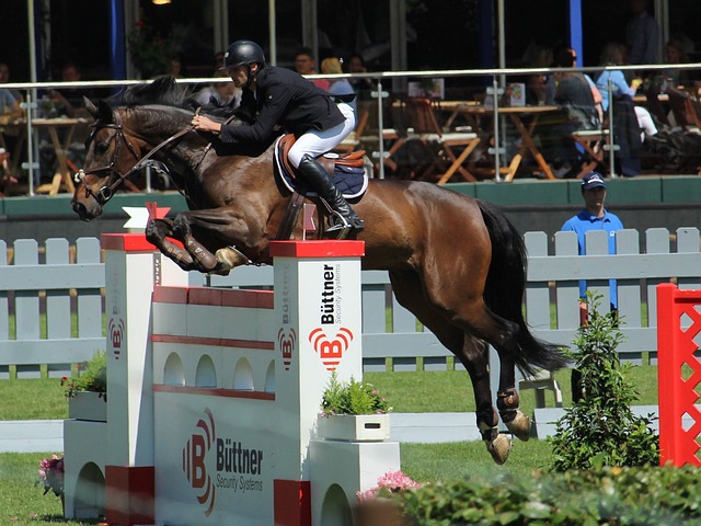 双方互有攻 双方互有攻