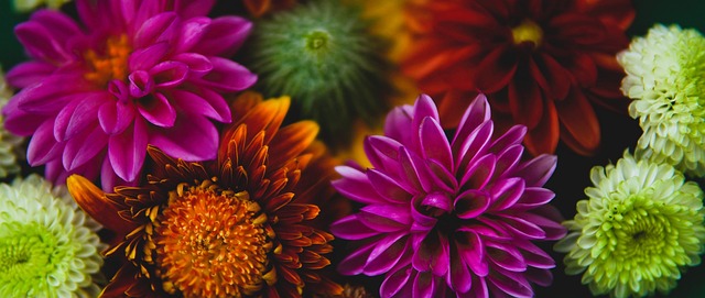 盘点：太阳队历史上最伟大的 10 名球员排名.