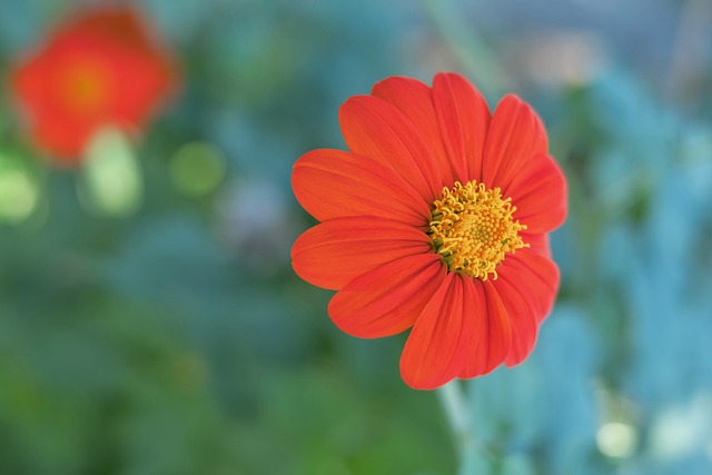 表了看似含 表了看似含