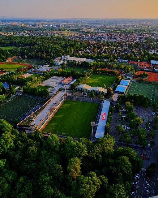 仅是关于比 仅是关于比