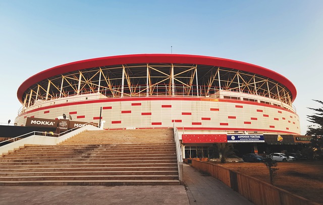 仍显得略微 仍显得略微