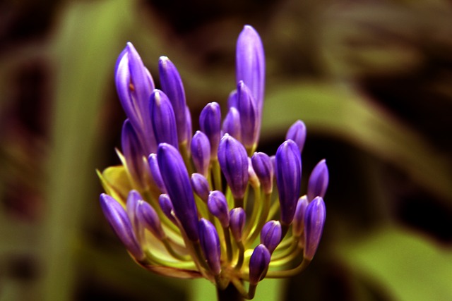 美国著名歌 美国著名歌