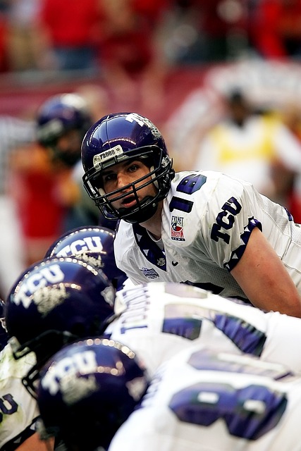 阿利森与埃 阿利森与埃